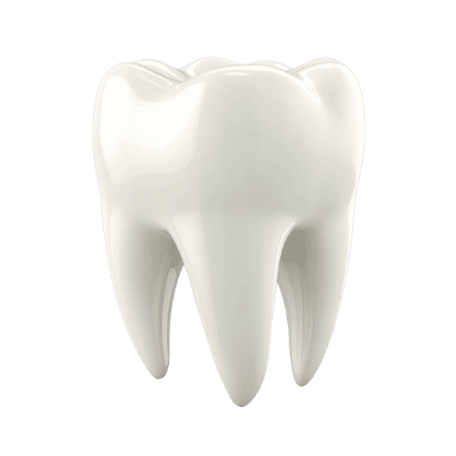 tooth